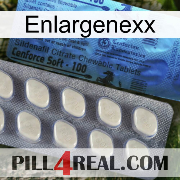 Enlargenexx 34.jpg